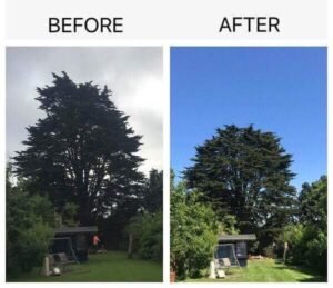 Crown Reduction Wakefield