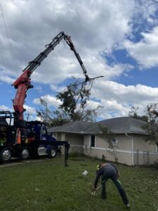 Emergency Tree Work in Wakefield