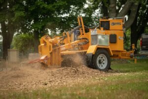 Deadwood Removal Wakefield