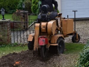 Deadwood Removal Wakefield