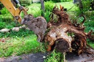 Stump Removal Wakefield