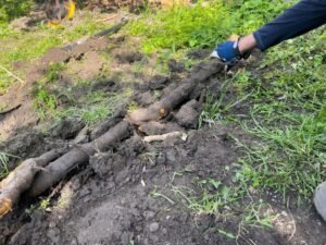 Stump Removal Wakefield