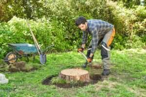 Stump Removal Wakefield