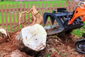 Stump Removal Wakefield