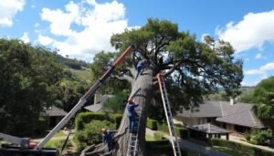 Tree Removal Wakefield