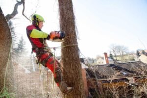 Site Clearance Wakefield