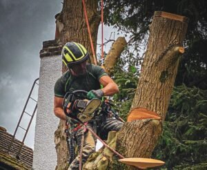 Tree Surgeons Wakefield
