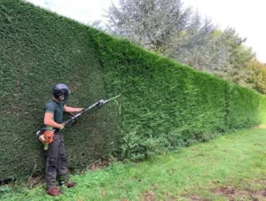 Hedge Trimming Wakefield