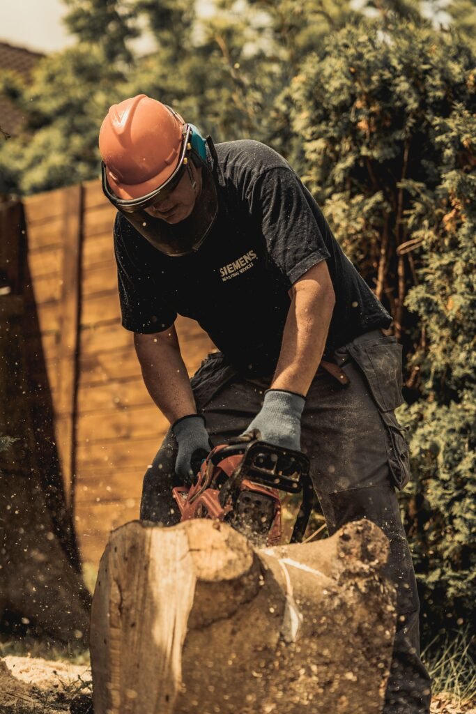 Tree Surgeons Wakefield