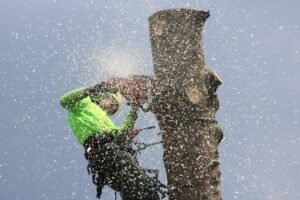 Site Clearance Wakefield
